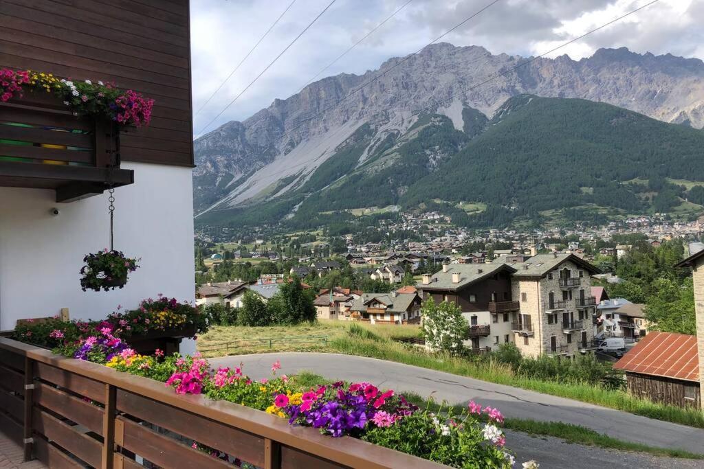 Appartamento A Due Passi Da Bormio Вальдизотто Экстерьер фото